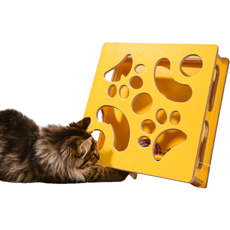 Cat Maze Box - MaoMao - Paws