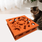 Cat Maze Box - MaoMao - Paws