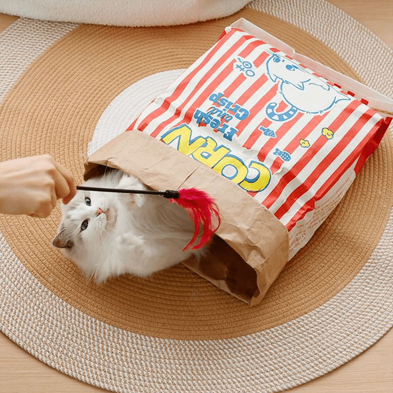 Cat Popcorn Bag - MaoMao - Paws