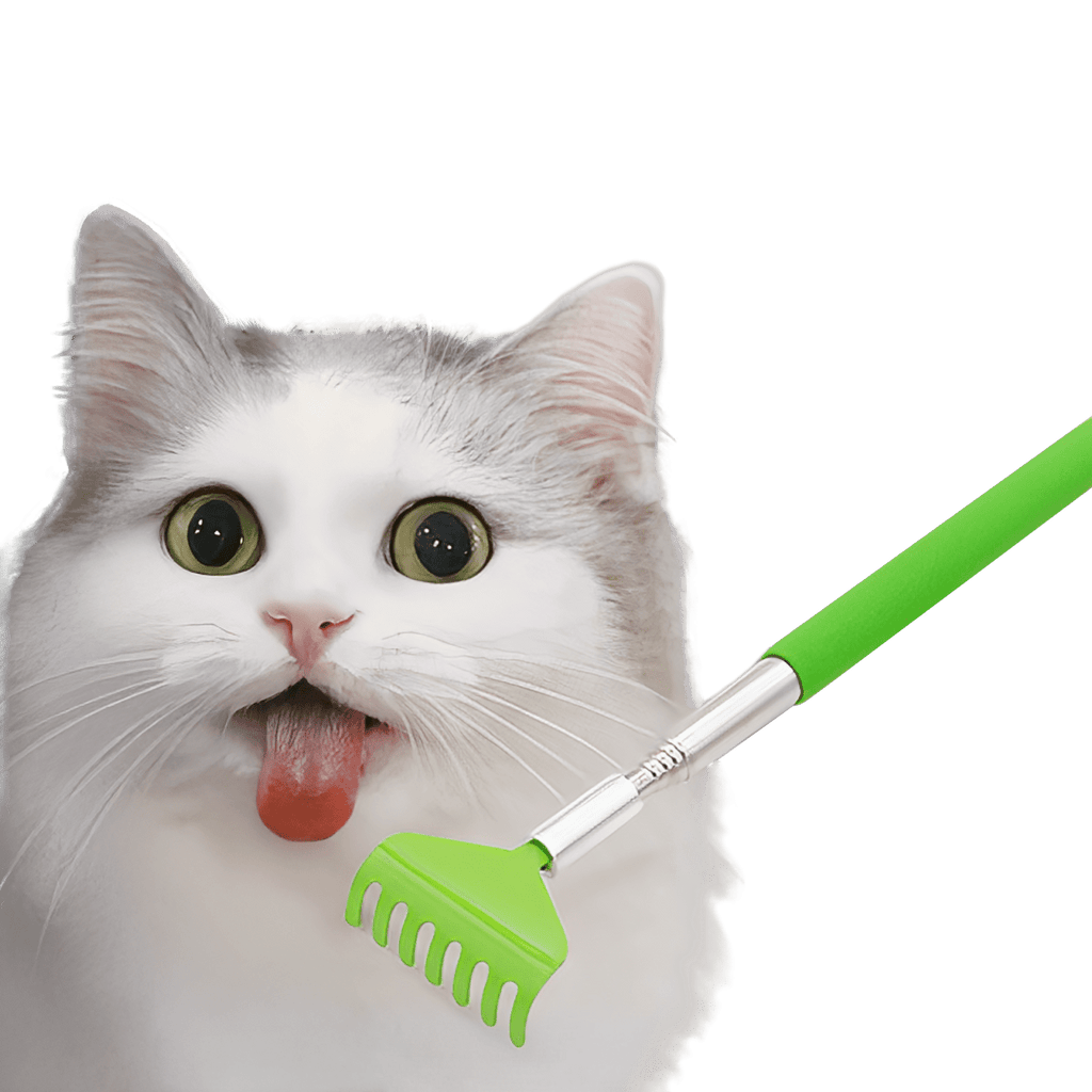 Cat Scratching Tool - MaoMao - Paws