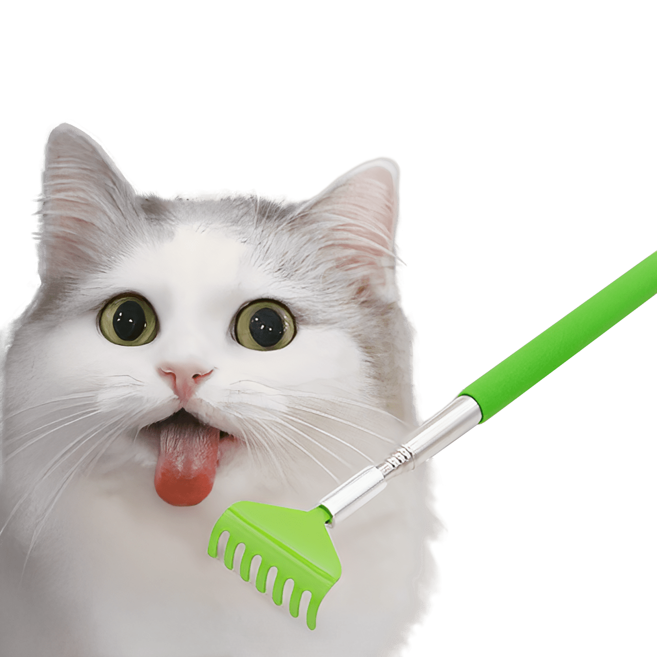 Cat Scratching Tool - MaoMao - Paws