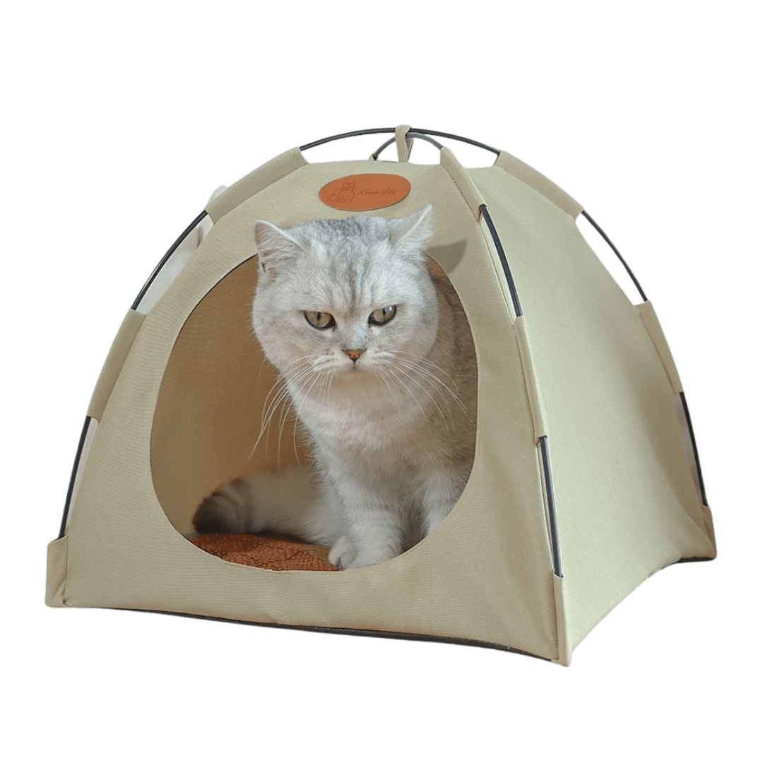 Cat Tent - MaoMao - Paws