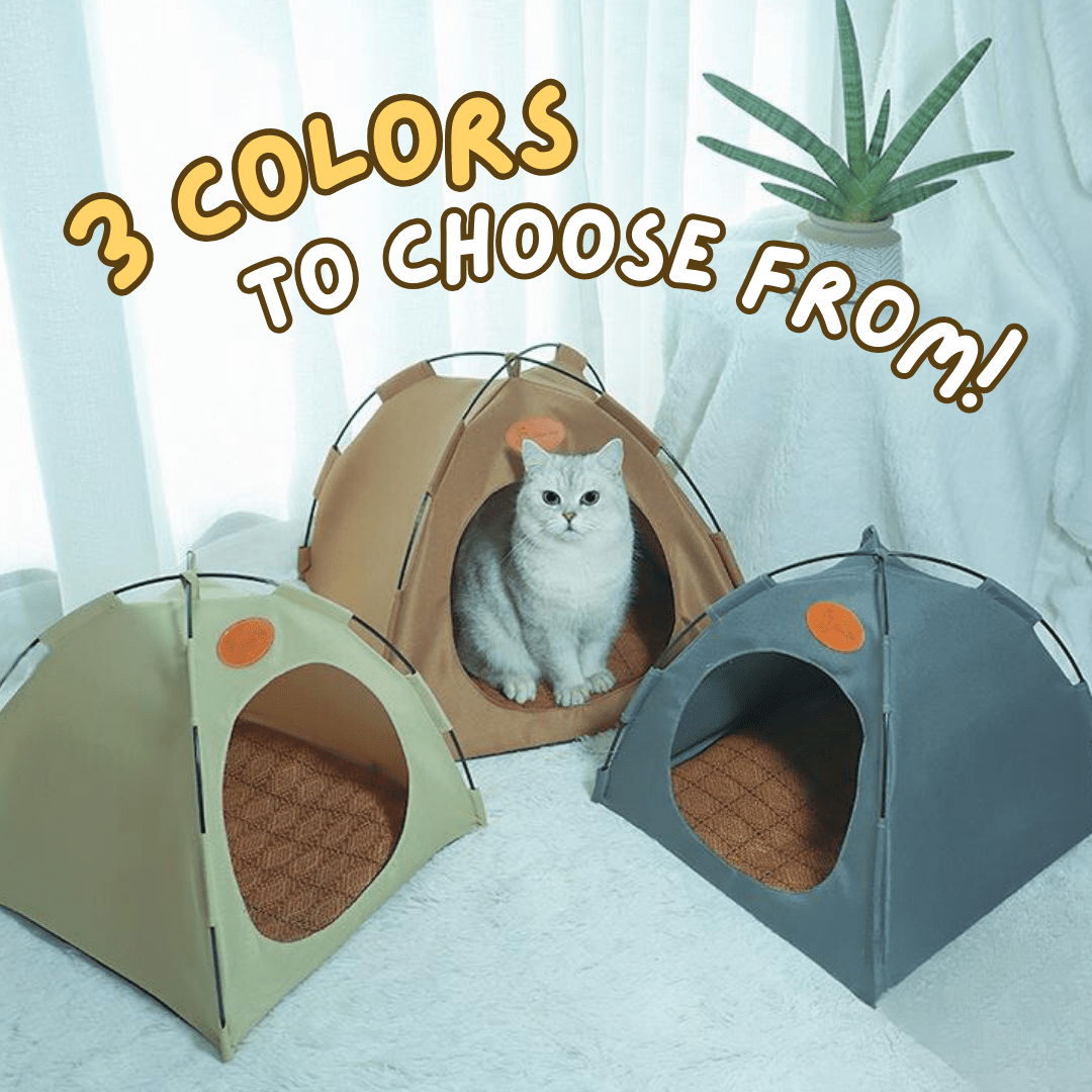 Cat Tent - MaoMao - Paws