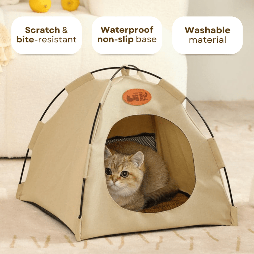 Cat Tent - MaoMao - Paws