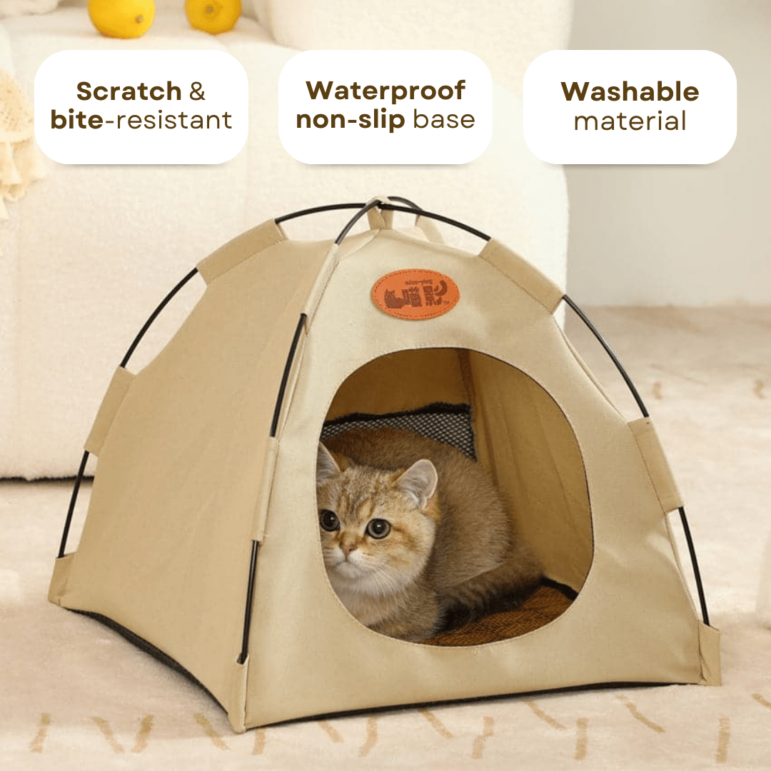 Cat Tent - MaoMao - Paws