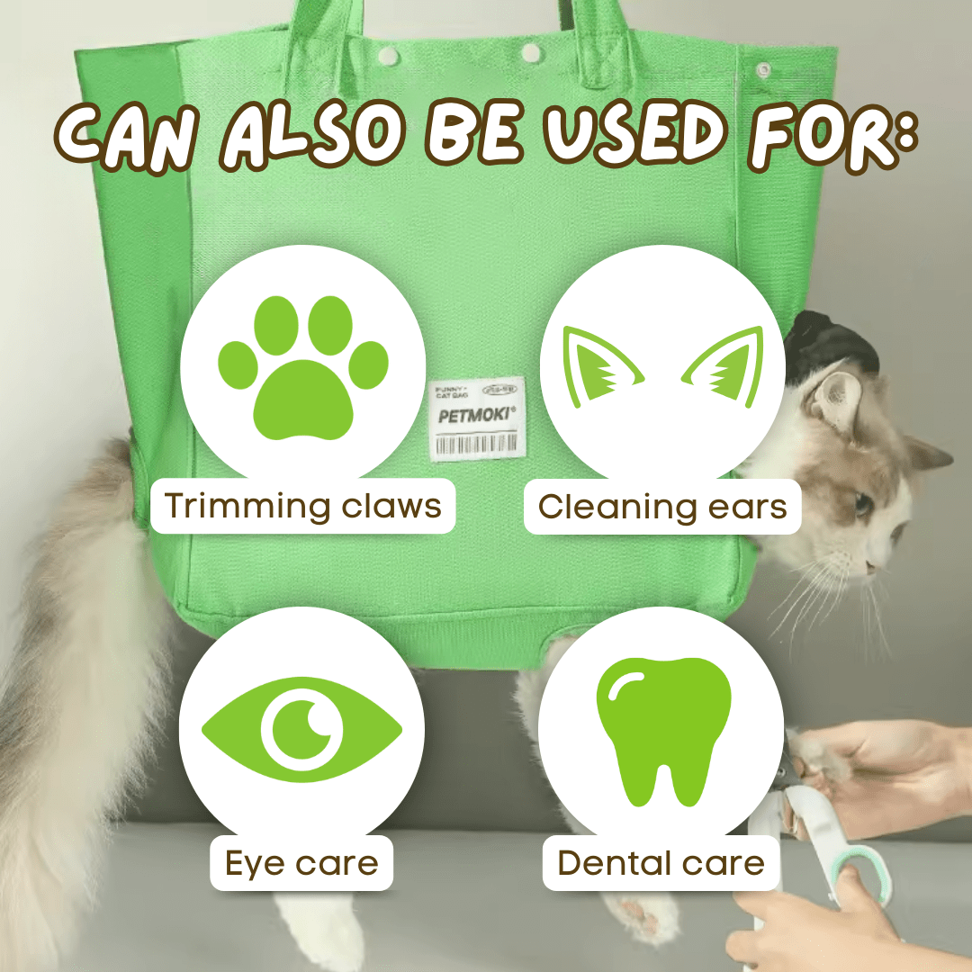 Cat Tote Bag - MaoMao - Paws