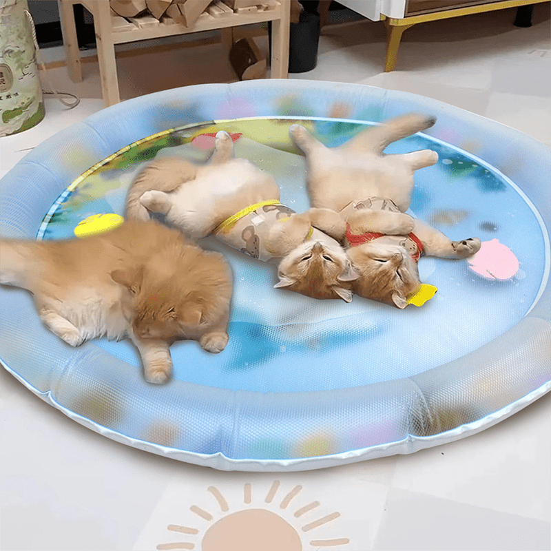 Cat Water Bed 2.0 - MaoMao - Paws