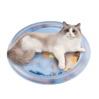 Cat Water Bed 2.0 - MaoMao - Paws