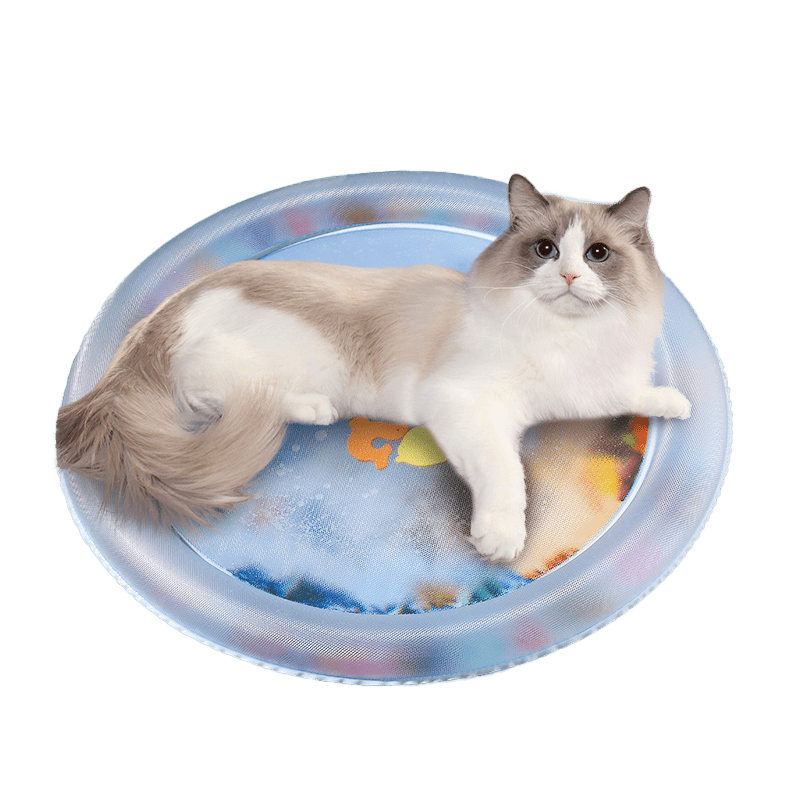 Cat Water Bed 2.0 - MaoMao - Paws