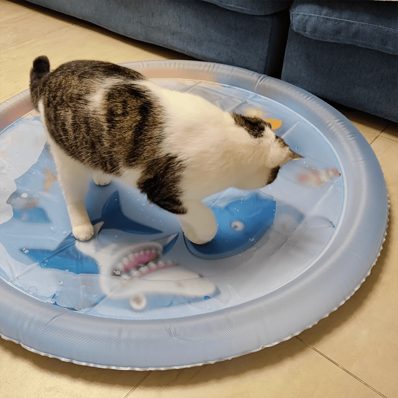 Cat Water Bed 2.0 - MaoMao - Paws