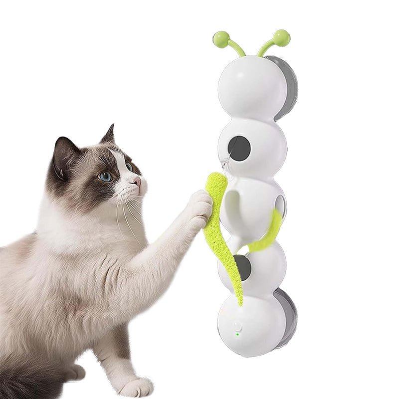 Caterpillar Cat Toy - MaoMao - Paws