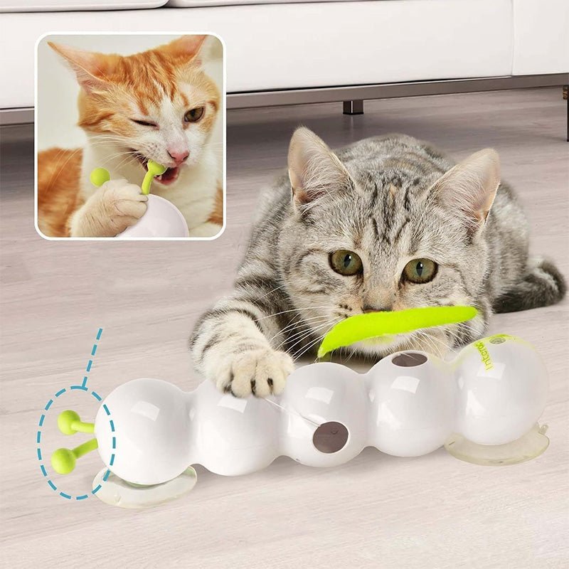 Caterpillar Cat Toy - MaoMao - Paws