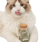 Catnip Tea - MaoMao - Paws