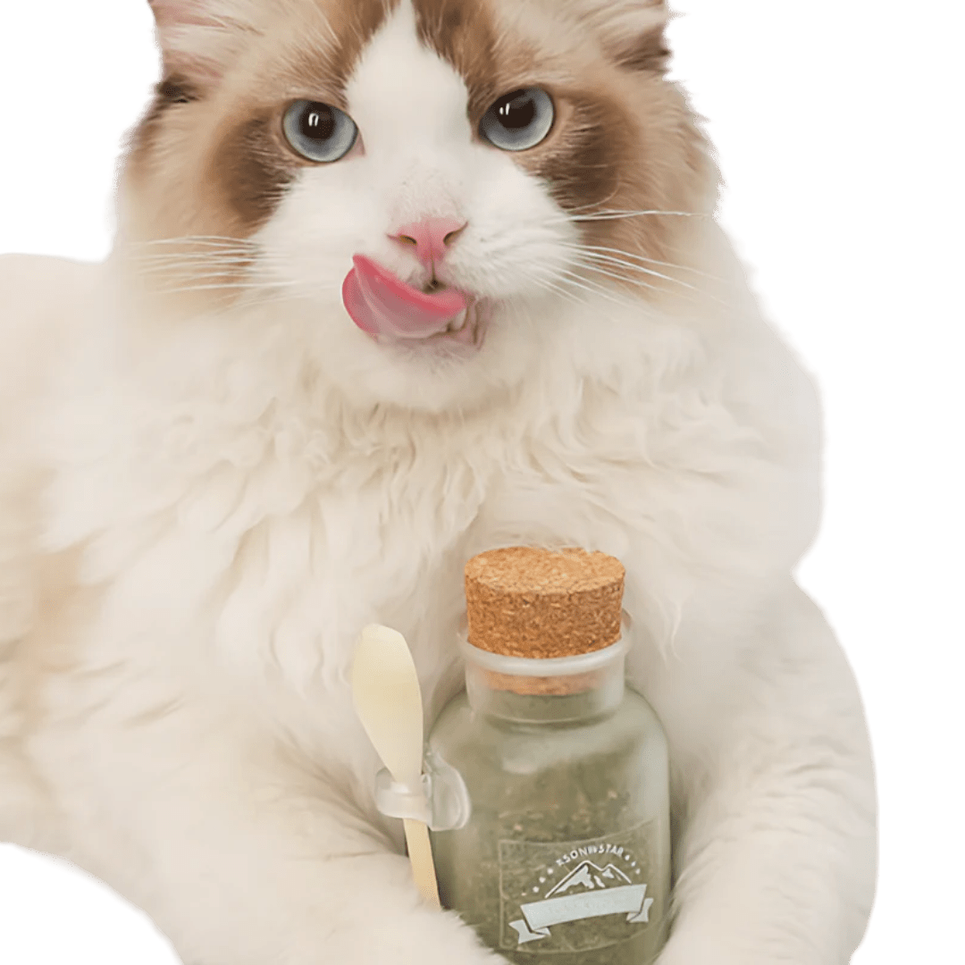 Catnip Tea - MaoMao - Paws