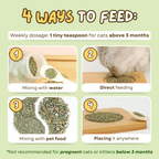 Catnip Tea - MaoMao - Paws