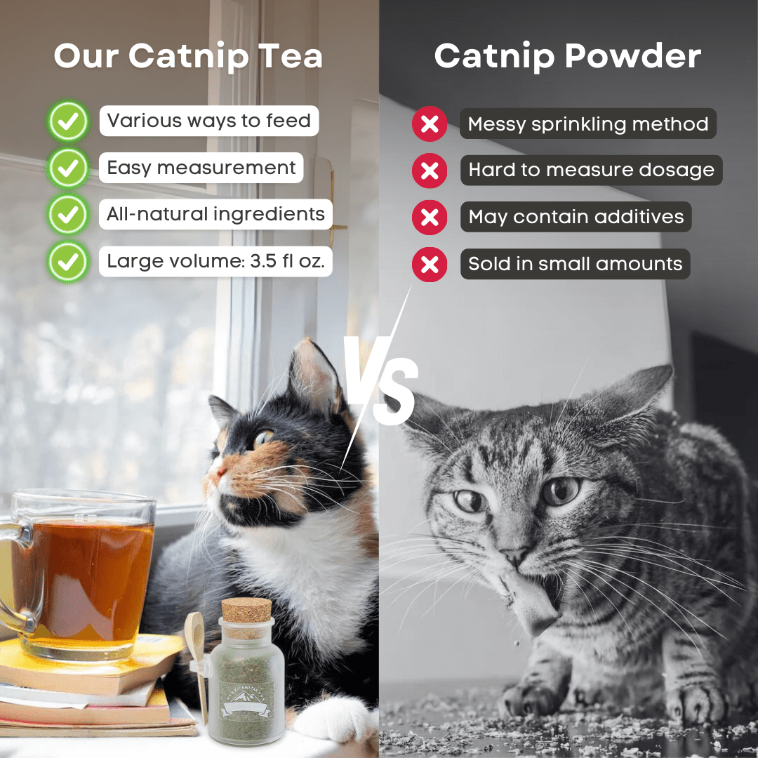 Catnip Tea - MaoMao - Paws