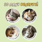 Catnip Tea - MaoMao - Paws