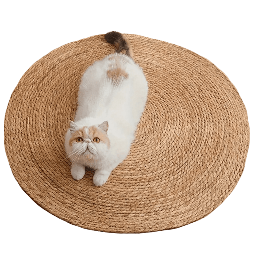 Cattail Scratcher Mat - MaoMao - Paws