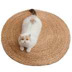 Cattail Scratcher Mat - MaoMao - Paws