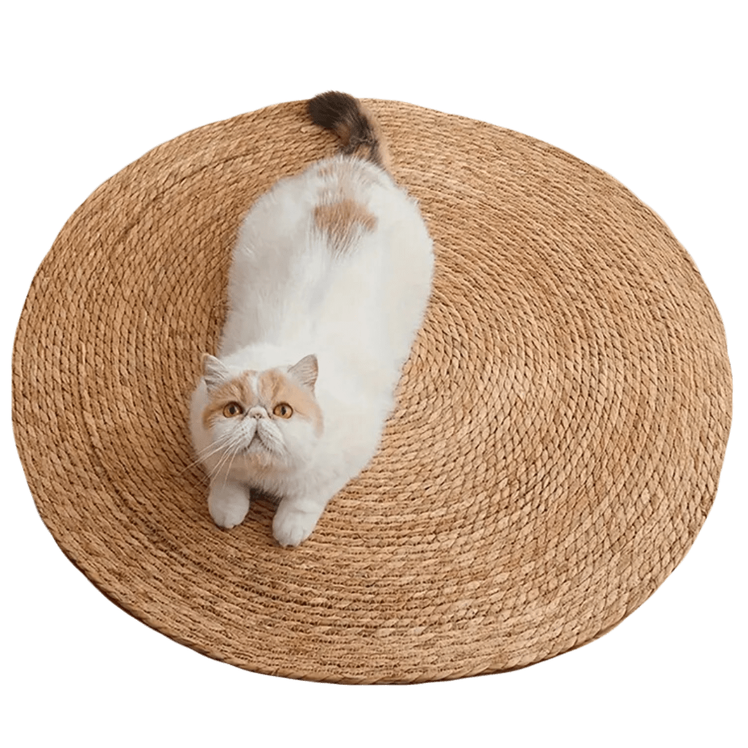 Cattail Scratcher Mat - MaoMao - Paws