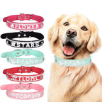 【COL - 005】Engraved nameplate rhinestone pet collar - MaoMao - Paws