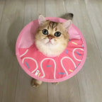 【COL - 017】Lightweight waterproof Elizabeth ring - MaoMao - Paws