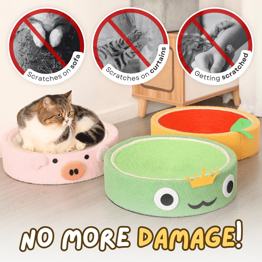 Cozy Scratcher - MaoMao - Paws