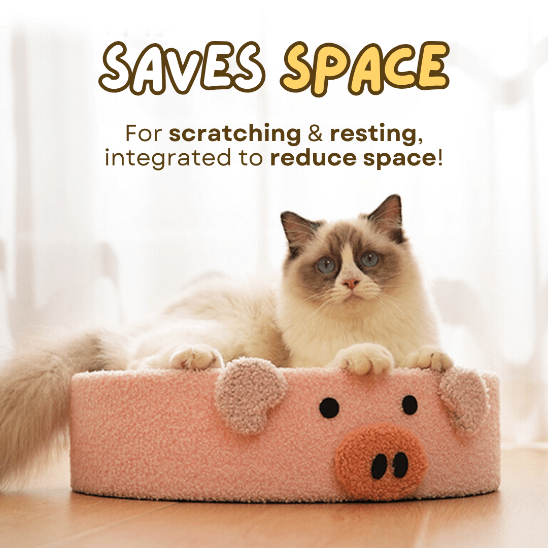 Cozy Scratcher - MaoMao - Paws