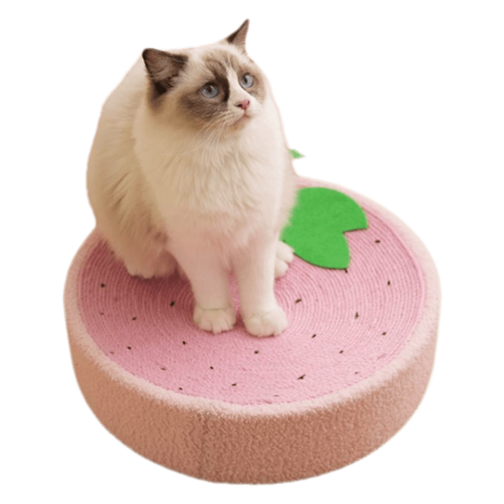 Cozy Scratcher - MaoMao - Paws