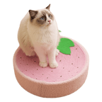 Cozy Scratcher - MaoMao - Paws