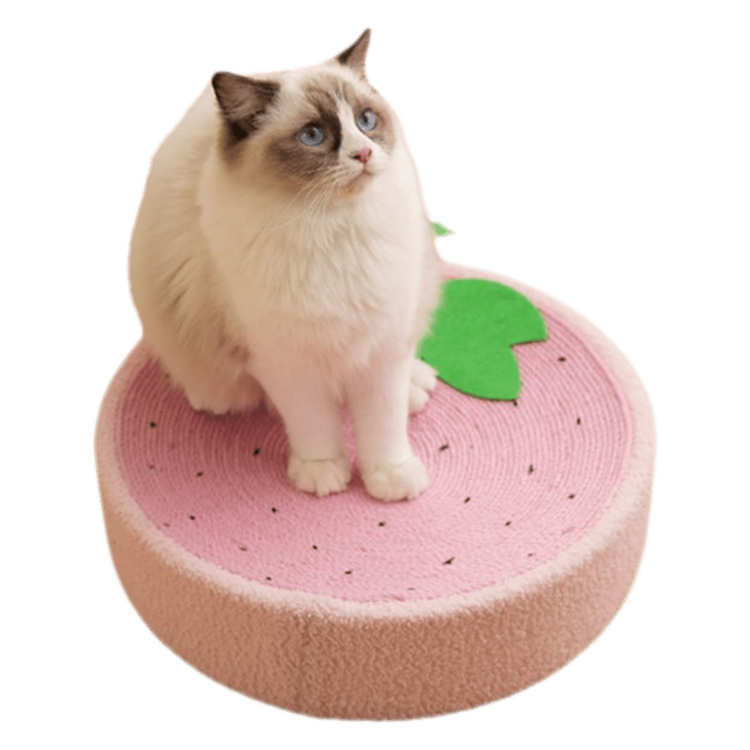 Cozy Scratcher - MaoMao - Paws