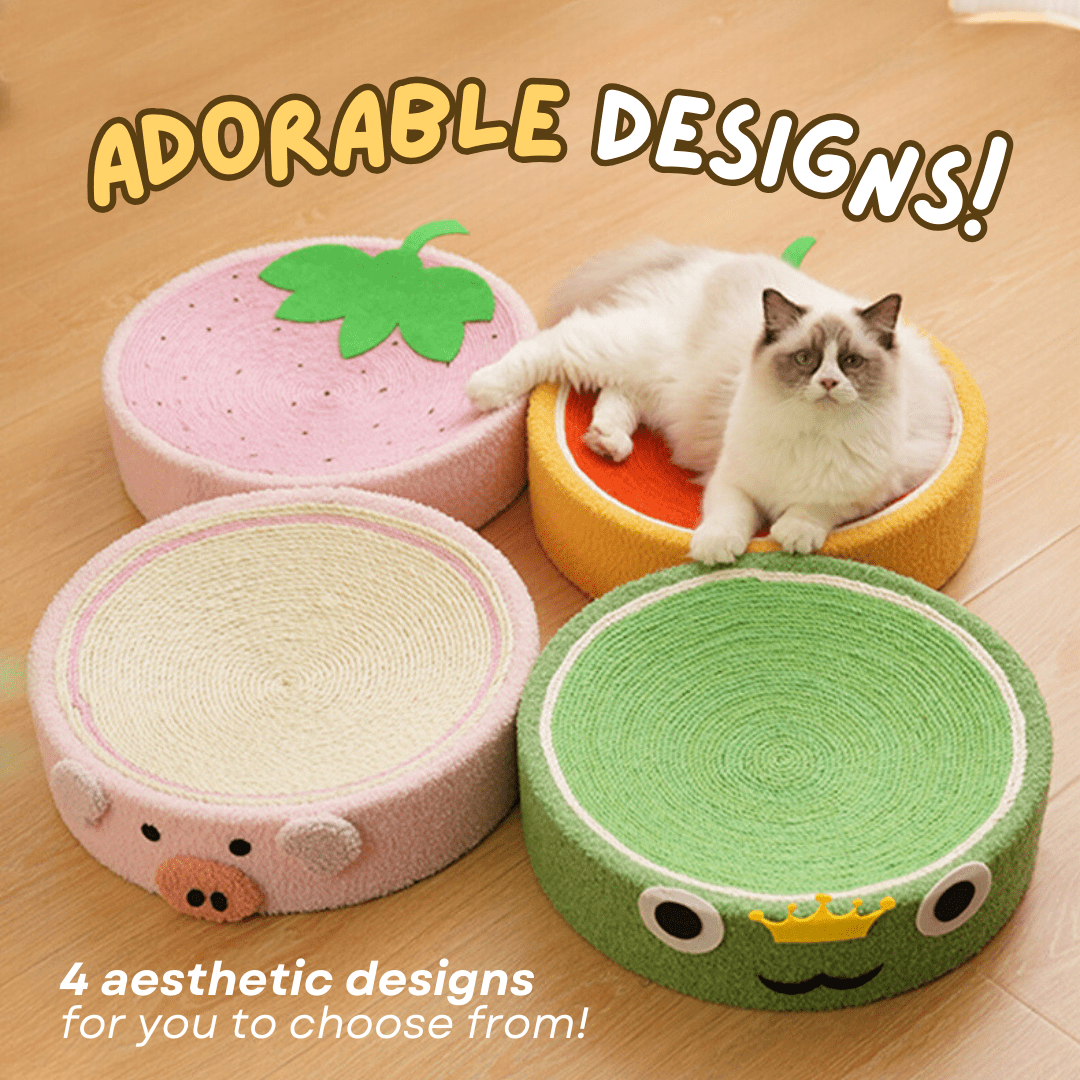 Cozy Scratcher - MaoMao - Paws