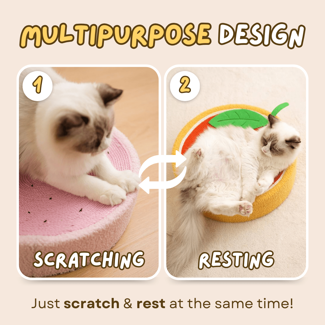 Cozy Scratcher - MaoMao - Paws