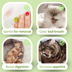 Creamy Cat Grass - MaoMao - Paws