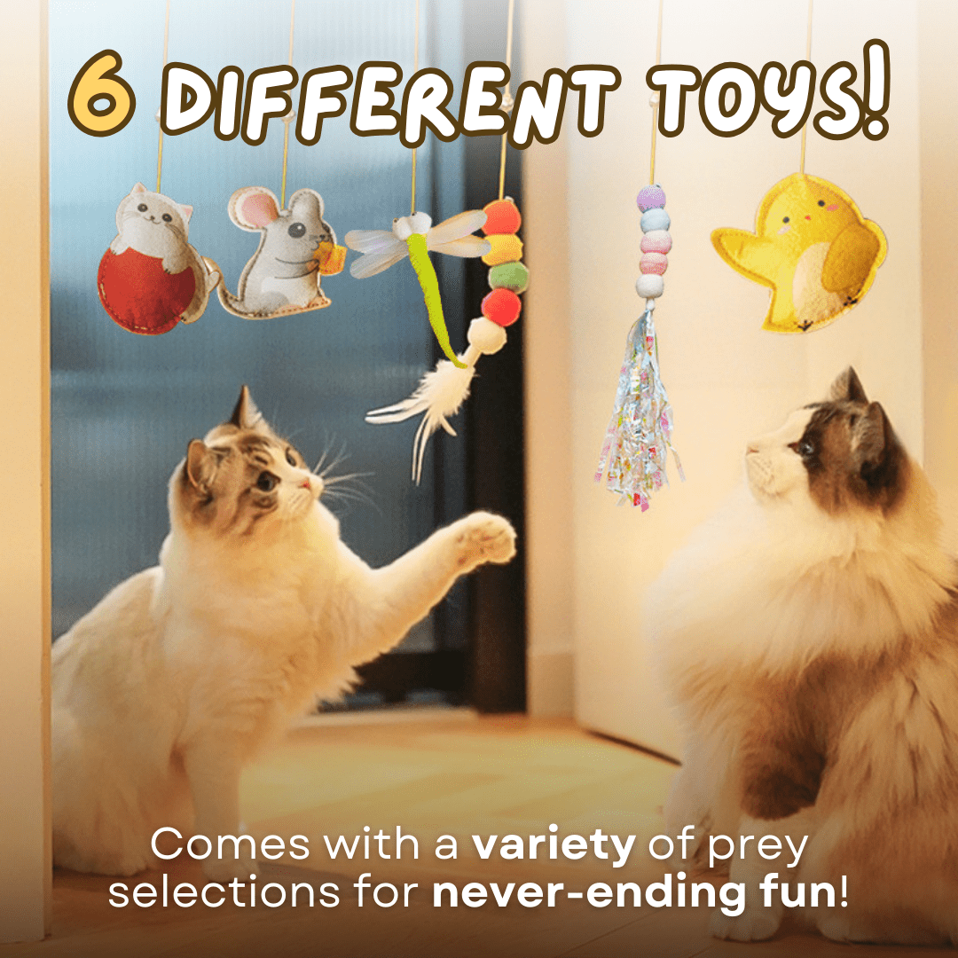 Dangling Cat Toy Set (6 PCS) - MaoMao - Paws