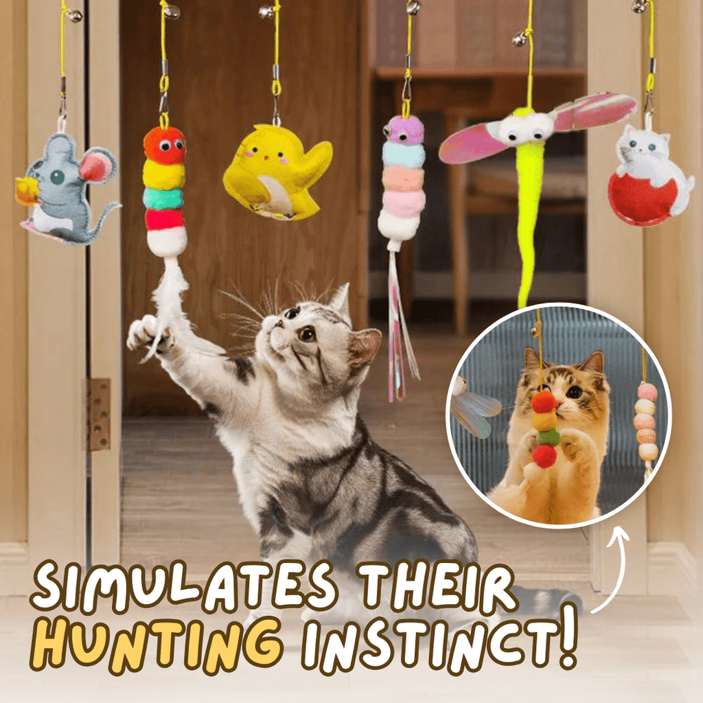 Dangling Cat Toy Set (6 PCS) - MaoMao - Paws