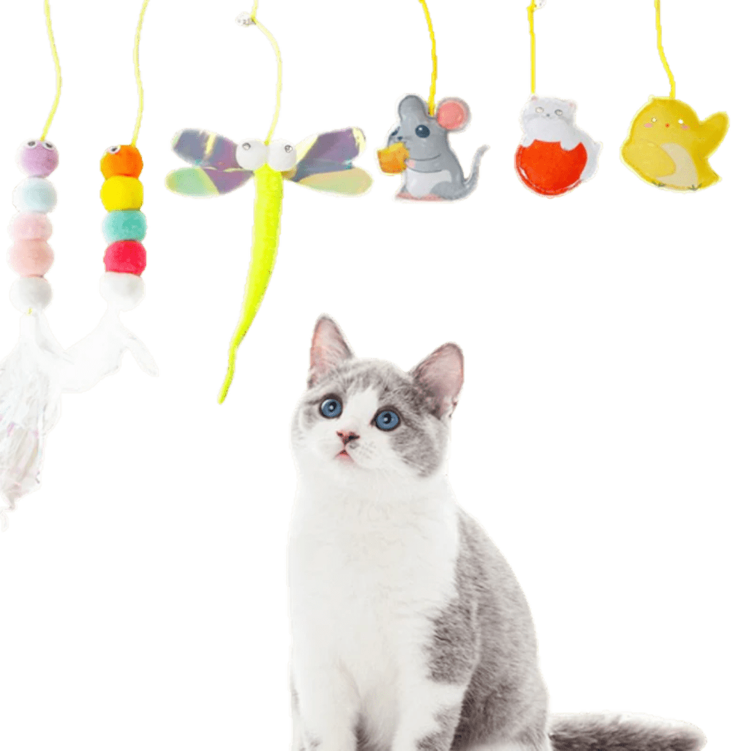 Dangling Cat Toy Set (6 PCS) - MaoMao - Paws