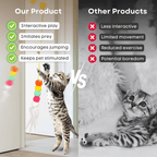 Dangling Cat Toy Set (6 PCS) - MaoMao - Paws