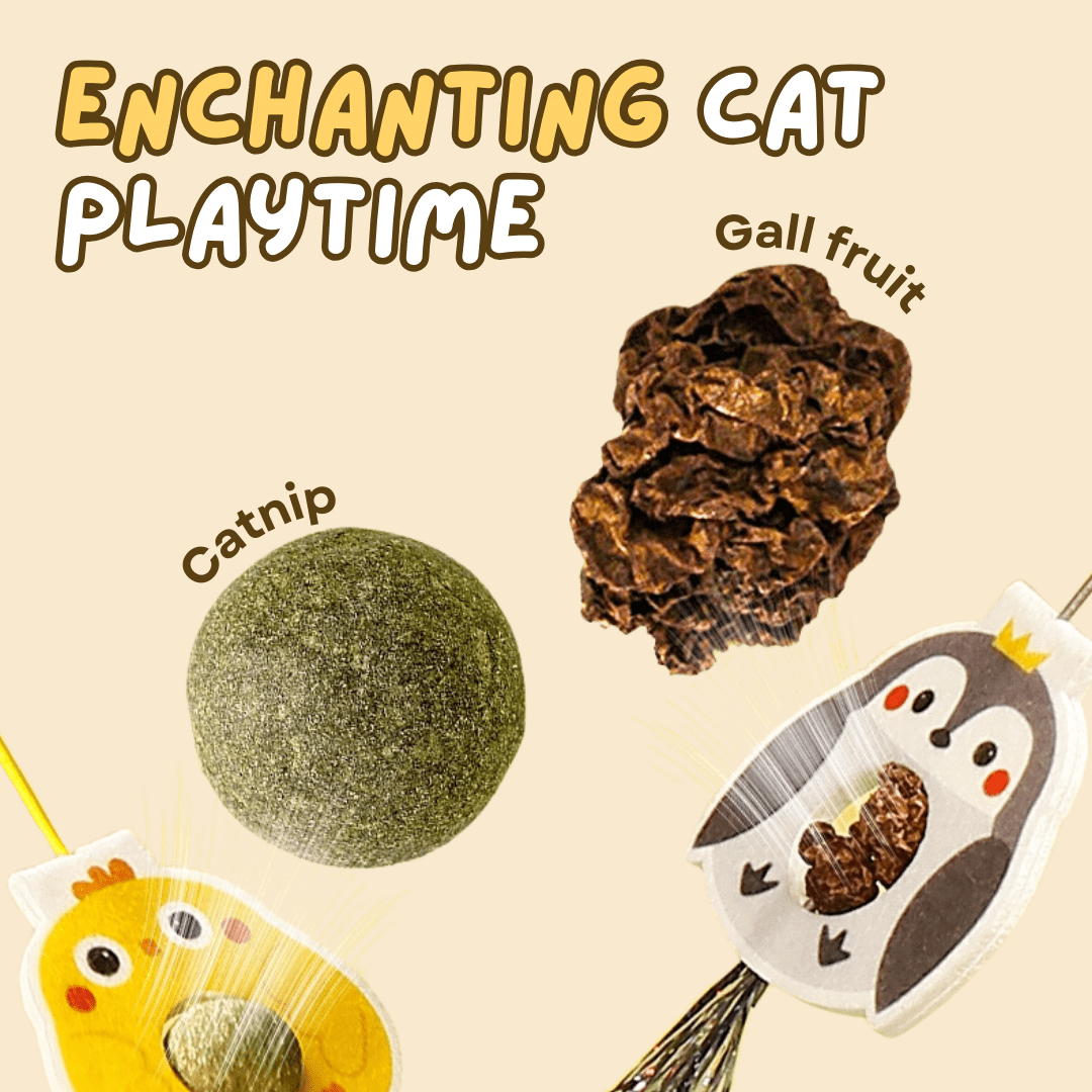 Dangling Catnip Toy (Set of 4) - MaoMao - Paws