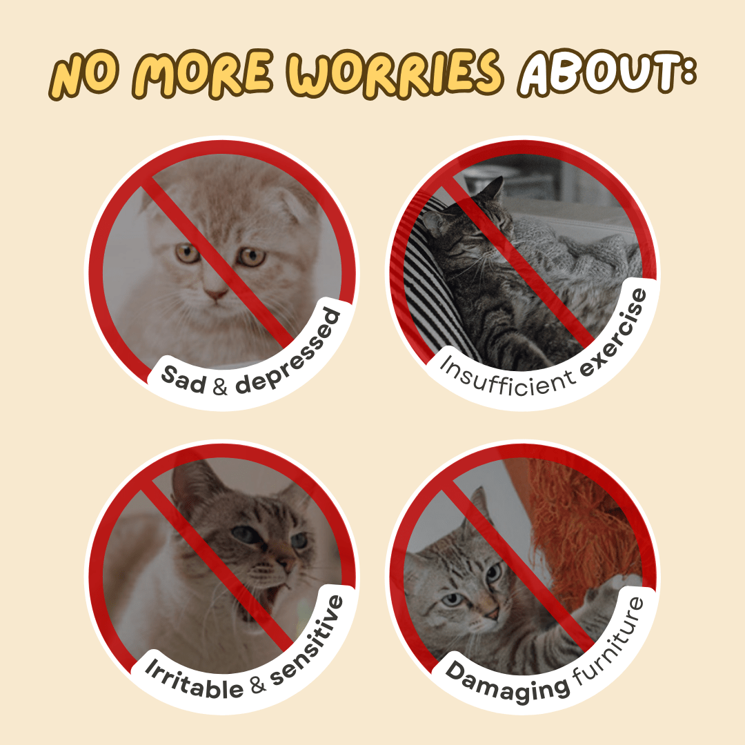 Dangling Catnip Toy (Set of 4) - MaoMao - Paws