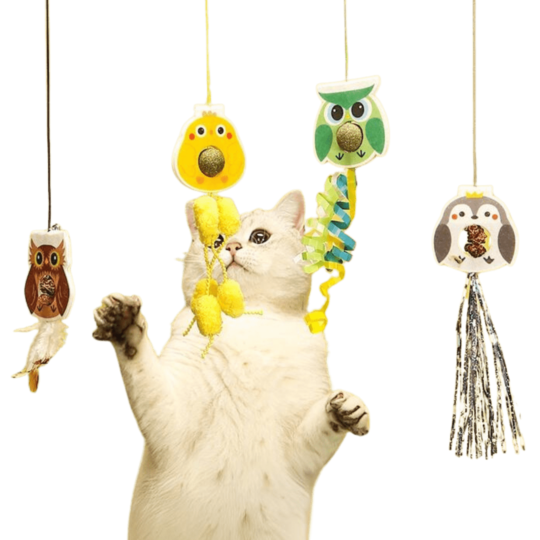 Dangling Catnip Toy (Set of 4) - MaoMao - Paws