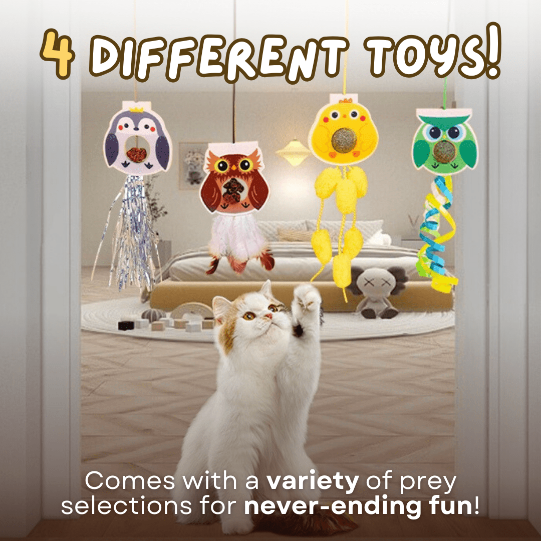 Dangling Catnip Toy (Set of 4) - MaoMao - Paws