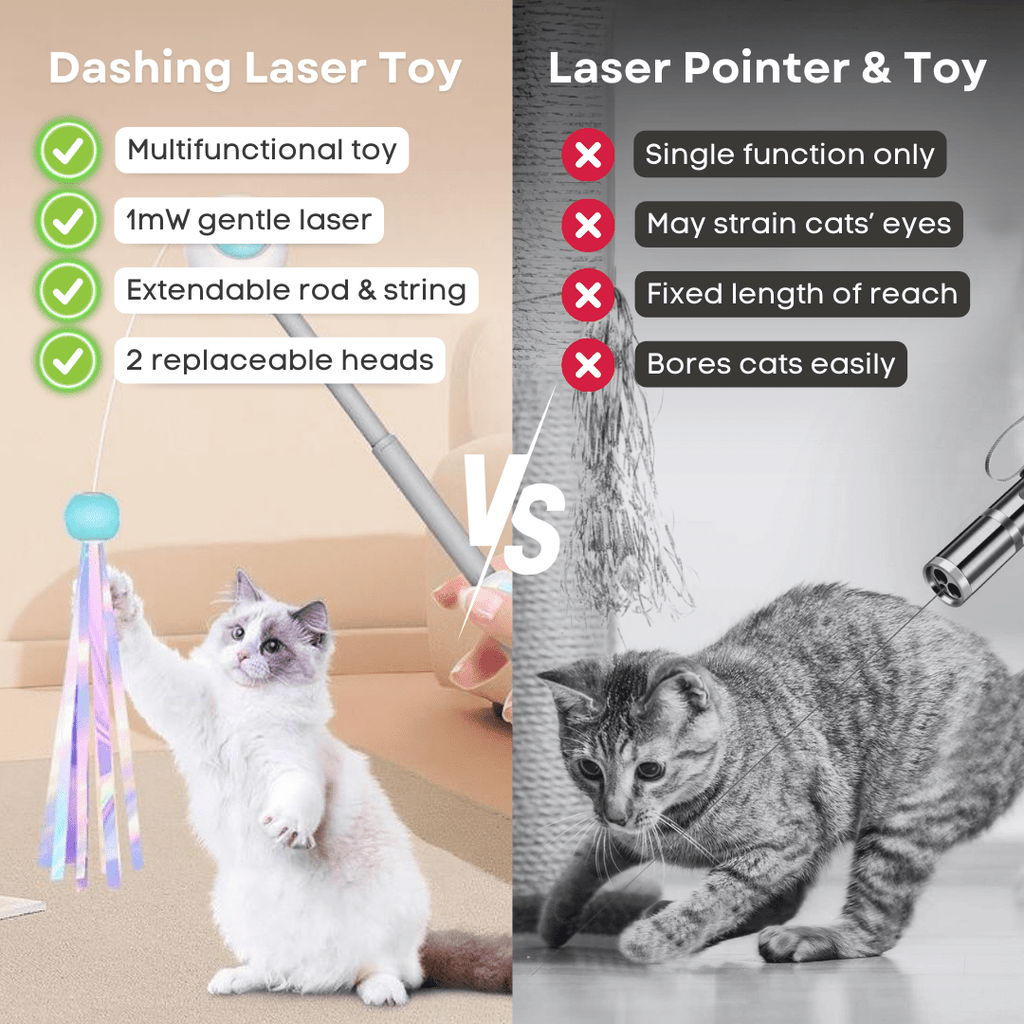 Dashing Laser Toy - MaoMao - Paws