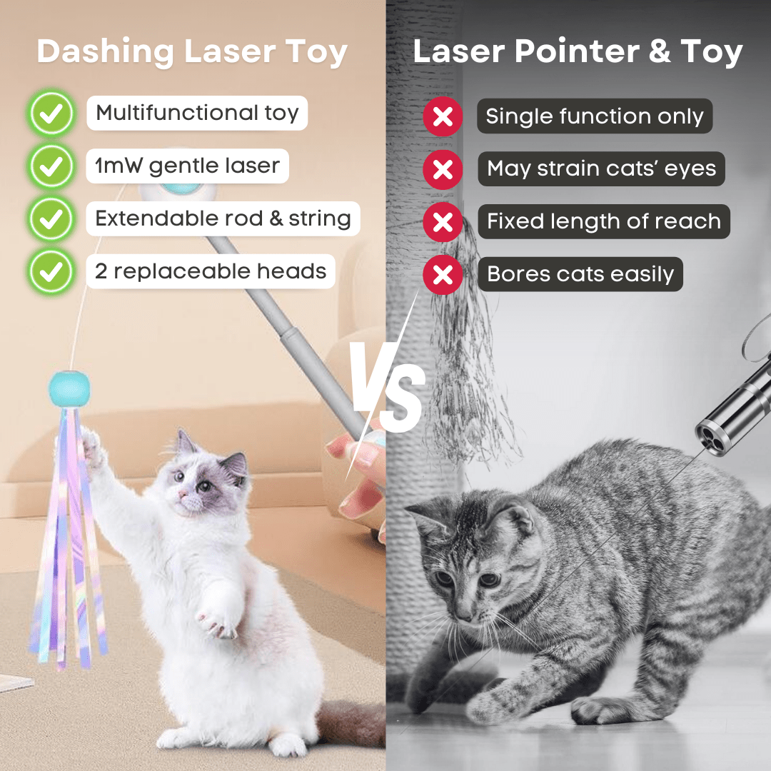 Dashing Laser Toy - MaoMao - Paws