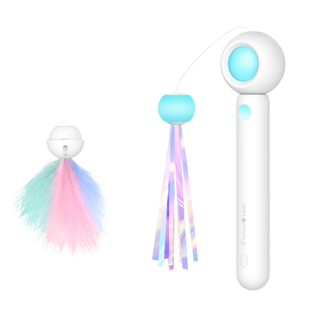 Dashing Laser Toy - MaoMao - Paws