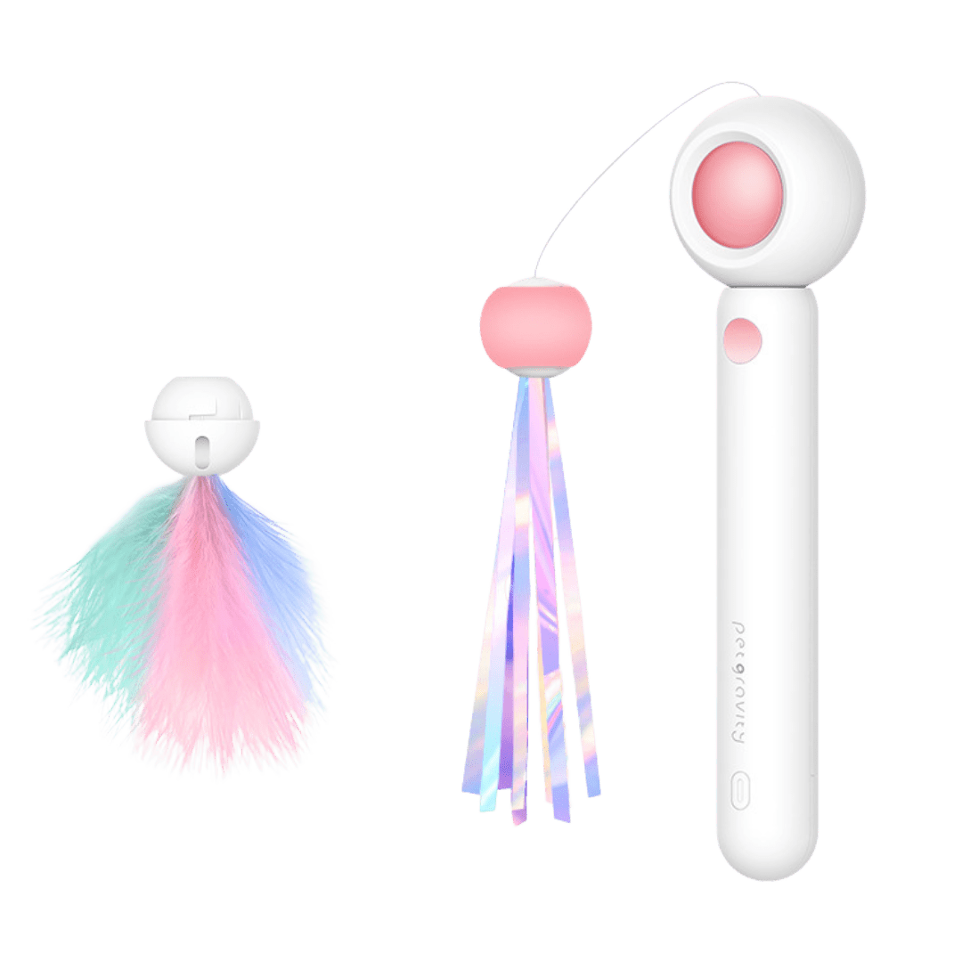 Dashing Laser Toy - MaoMao - Paws