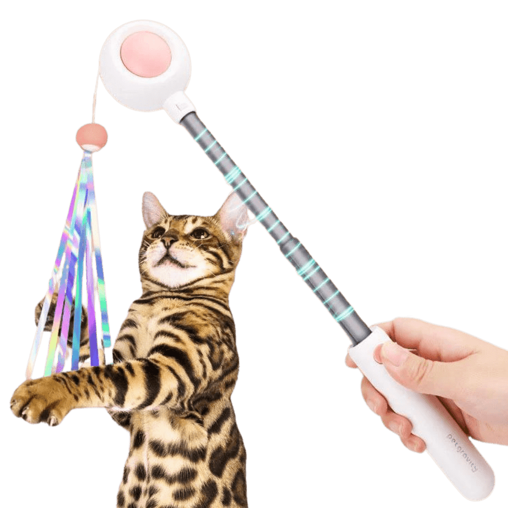 Dashing Laser Toy - MaoMao - Paws