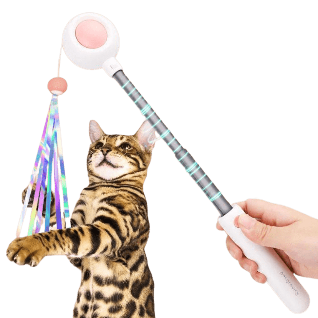 Dashing Laser Toy - MaoMao - Paws