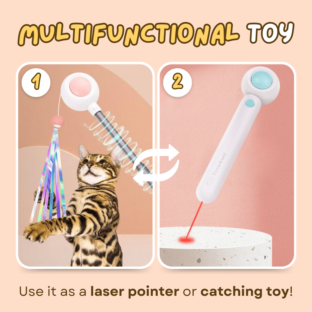 Dashing Laser Toy - MaoMao - Paws
