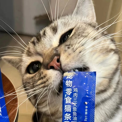 My Cat Goes Crazy for These Omega-3 Sticks!